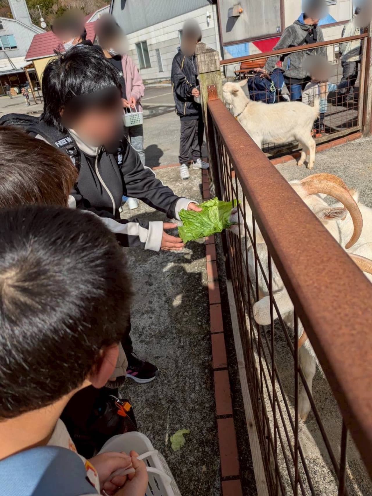 お出かけ活動（牧場）